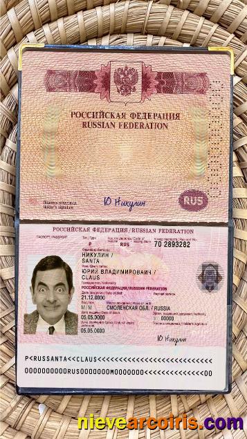 Russia travel passport photolook
